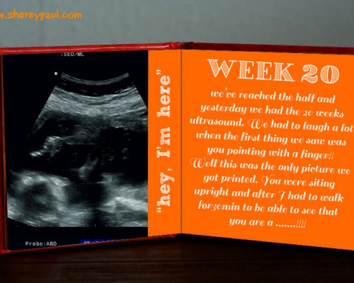 Diario de embarazo: 20 semanas